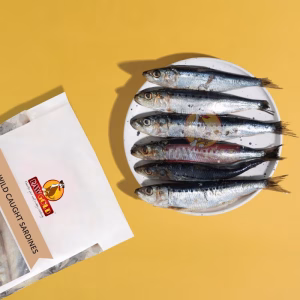 Raw Gold Wild Caught Frozen Sardines 1kg