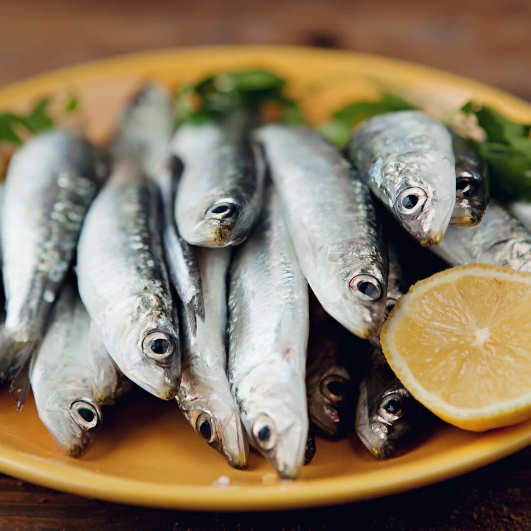 The Top Reasons to Include Sardines in Your Pet’s Diet Plan