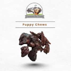 Yummies Pet Treats - Puppy Chews