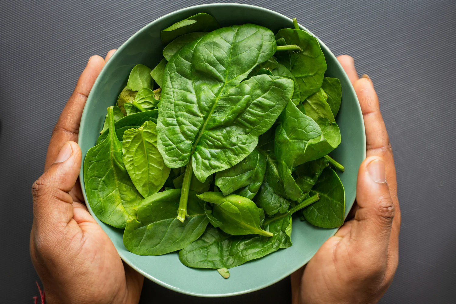 The Power of Spinach in Raw Pet Food