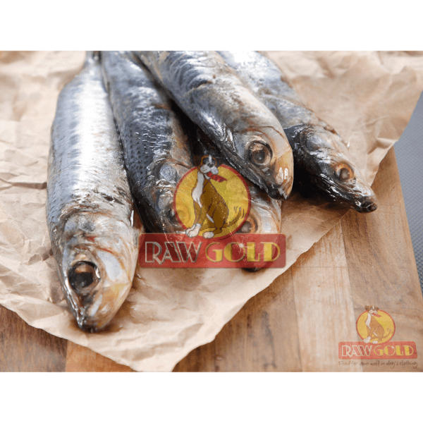 Raw Gold Wild Caught Frozen Sardines 1kg