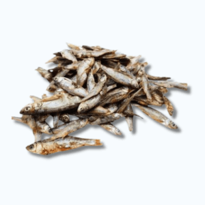 Connoisseur North Sea Sprats Coriander