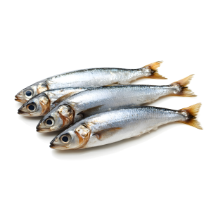 Whole Sardines 500g