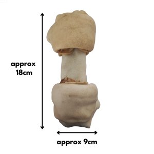 Rawhide bone Large Chewgantic