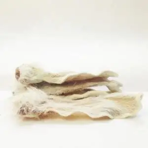 Craving Nature Rabbit Ear Single