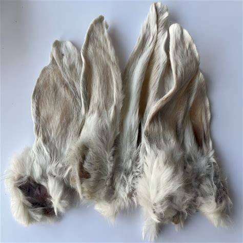 Craving Nature Rabbit Ears 5 pack